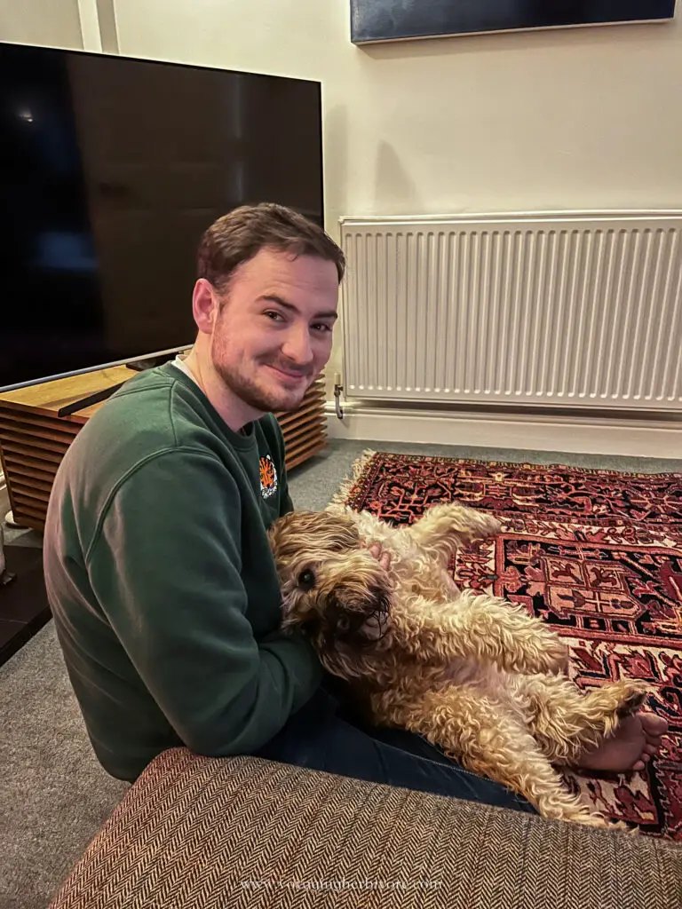 cuddling dog while house sitting uk