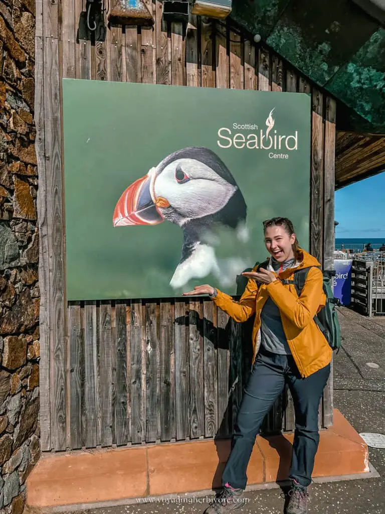 scottish seabird centre north berwick