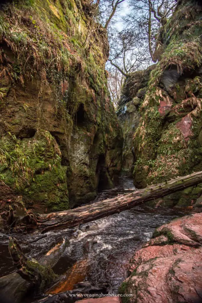 devil's pulpit scotland finnich glen