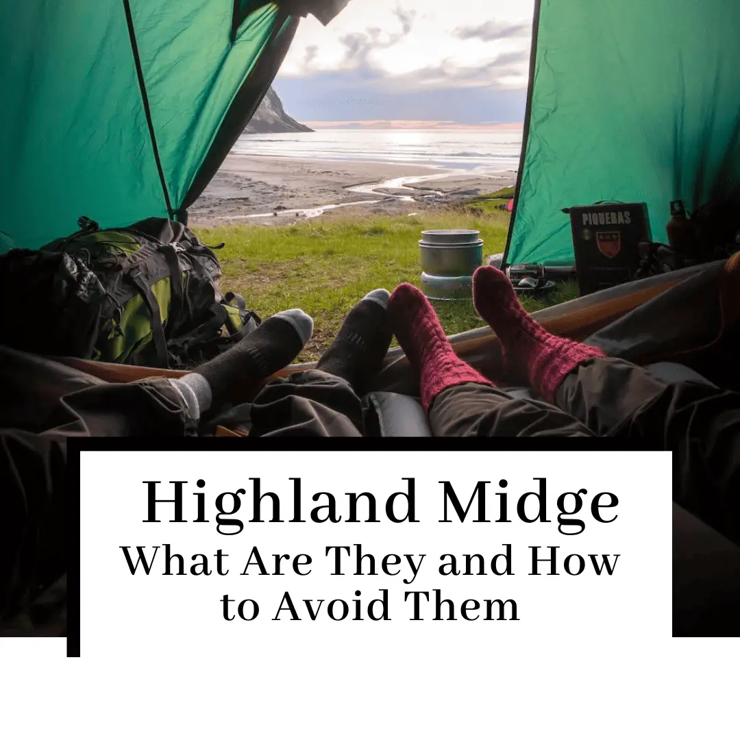 The Highland Midge: What Are They and How to Avoid Them