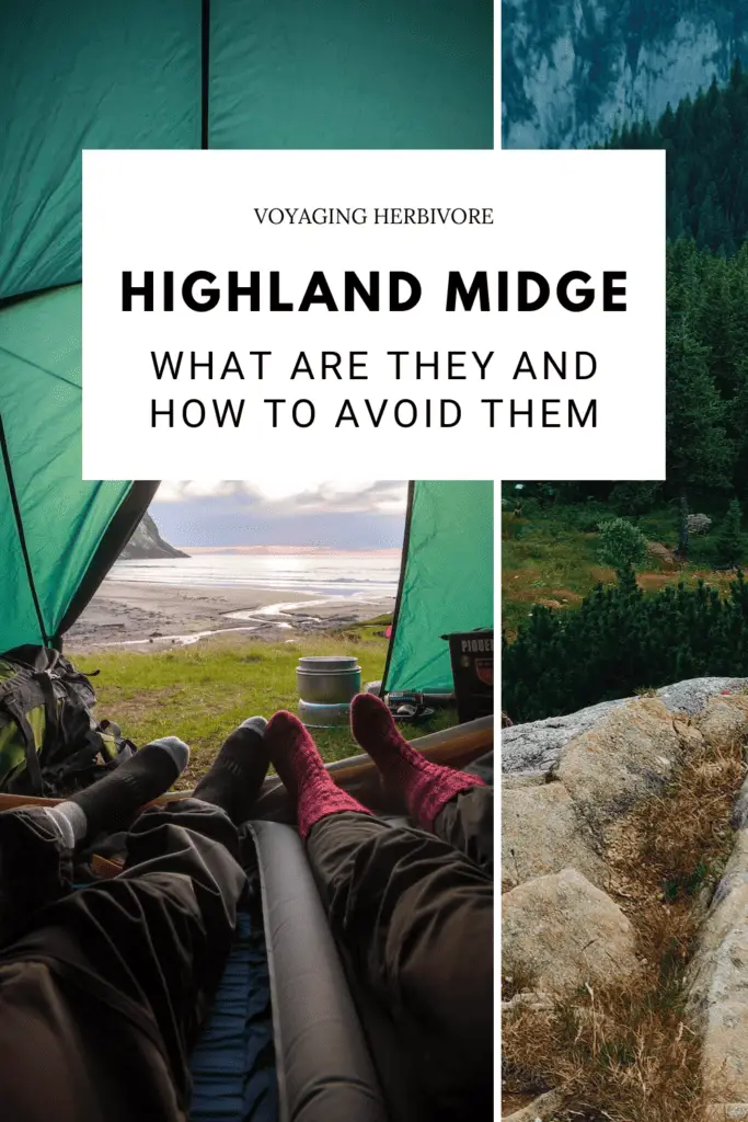 The Highland Midge: What Are They and How to Avoid Them