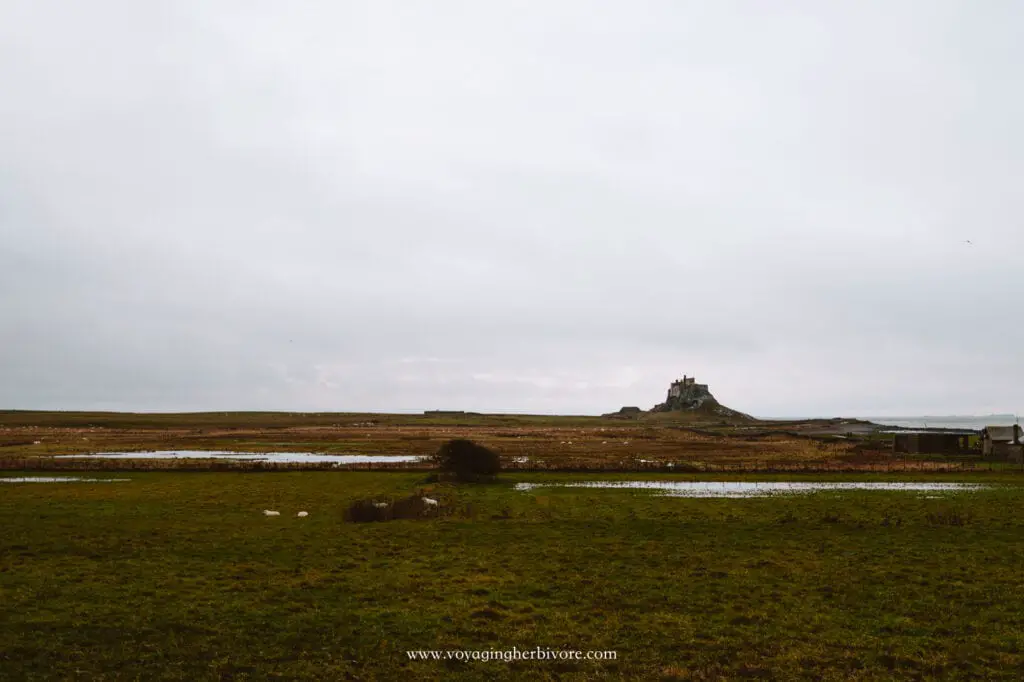 Holy Island castle and causeway