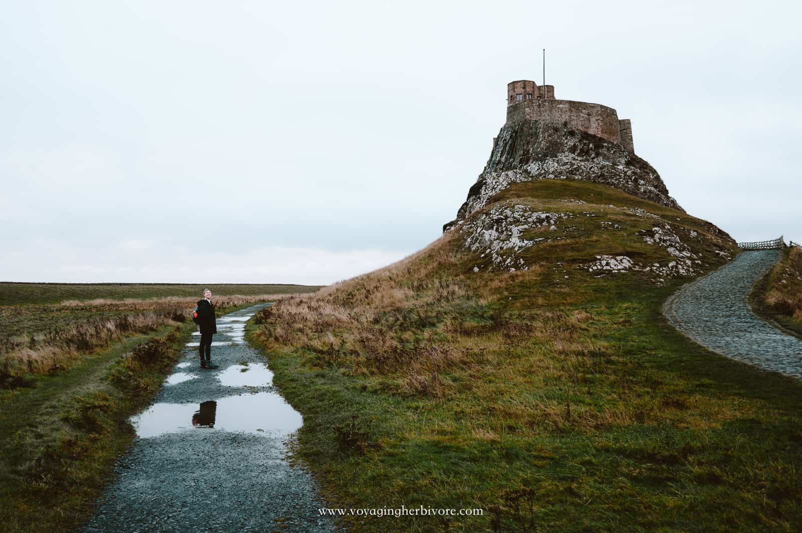 Holy Island and Lindisfarne Tide Times and More Voyaging Herbivore