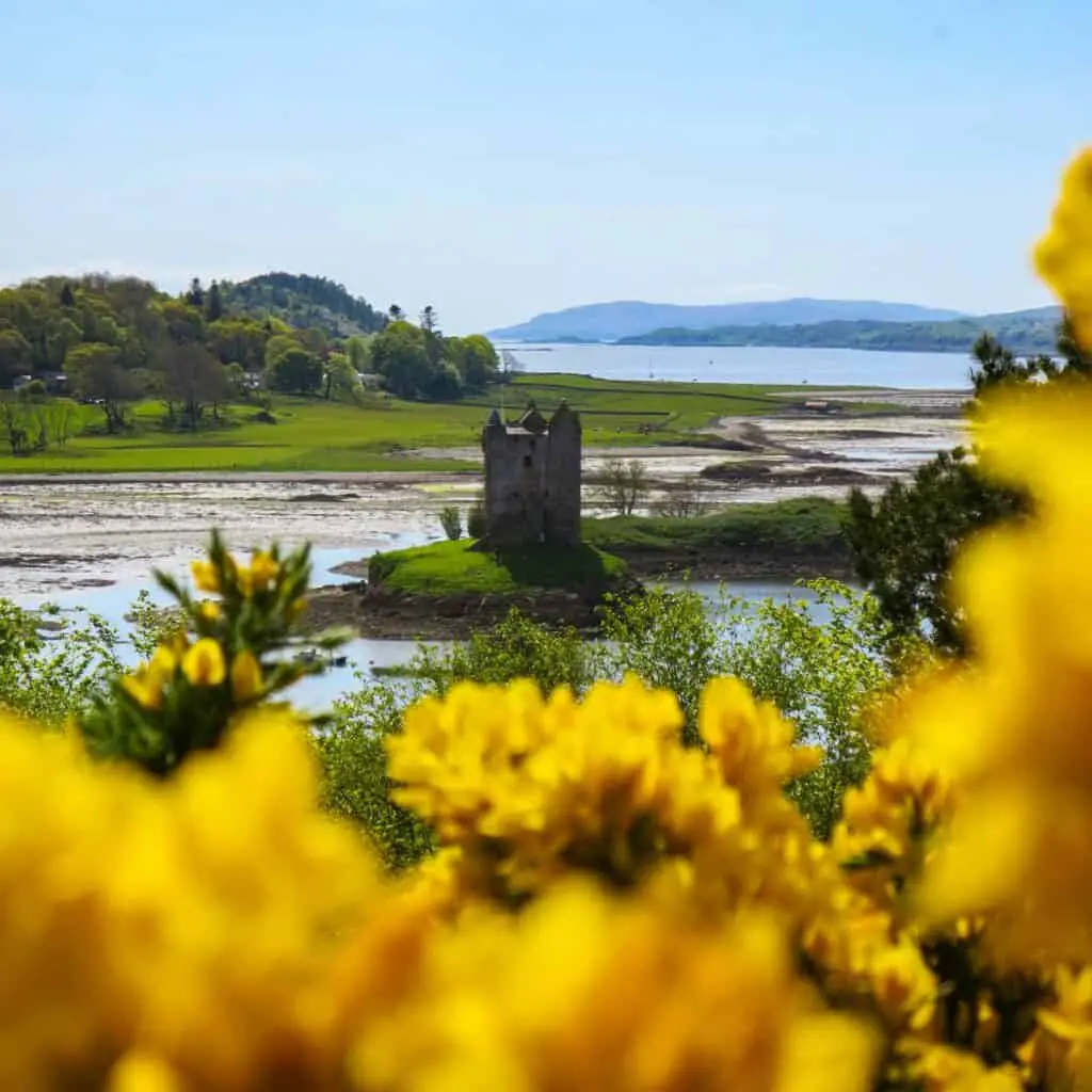 castle stalker scotland with flowers 